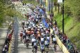 Tour de France komende jaren niet in Limburg ondanks lobby