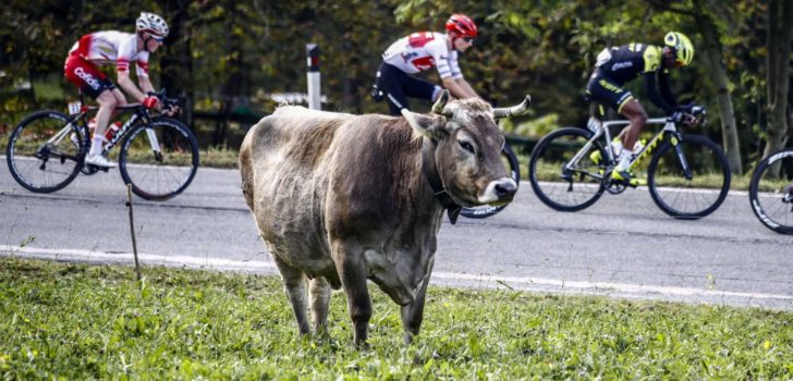 Volg hier de Ronde van Lombardije 2019