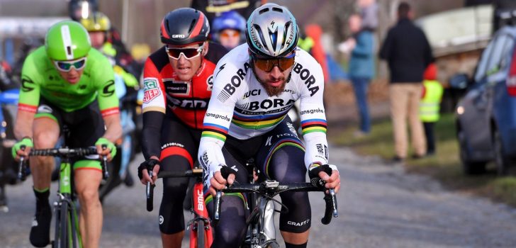 ‘Peter Sagan rijdt Omloop Het Nieuwsblad en Kuurne-Brussel-Kuurne’