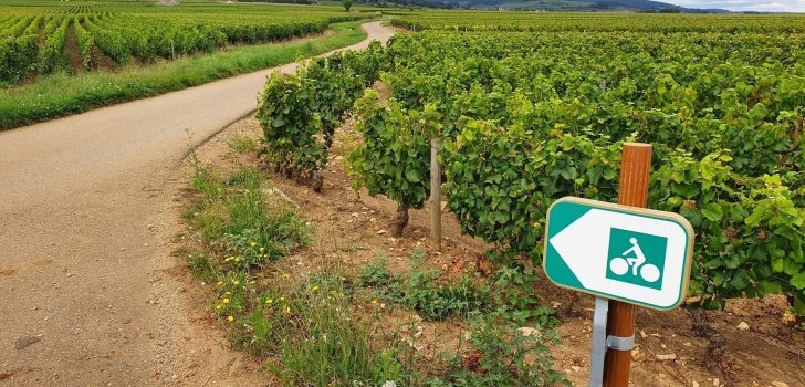Ontdek Voie des Vignes in de Bourgogne