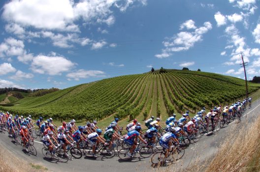 WielerFlits selecteert zes wijnen langs Tour de France-parcours 2022