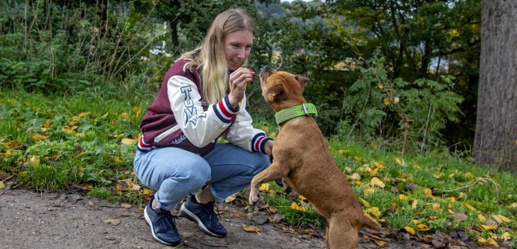 Maak kennis met Happy Dog: premium hondenvoeding afgestemd op elke leeftijd