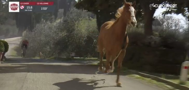 Bizar! Op hol geslagen paard hindert Demi Vollering in finale Strade Bianche