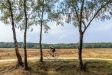 Vijf natuurgebieden in Nederland om per fiets te bezoeken