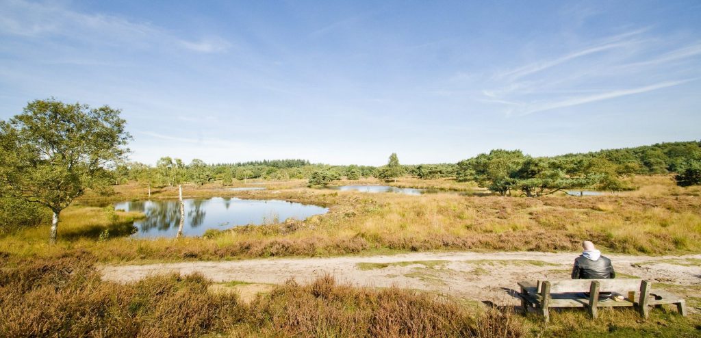 Op zoek naar nieuwe wegen in Limburg: natuurschoon in het stroomgebied van de Maas