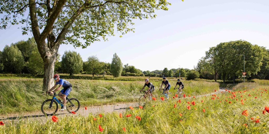 Laat je verrassen door de onbekende weggetjes, klimmetjes en landschappen van Limburgs Mooiste