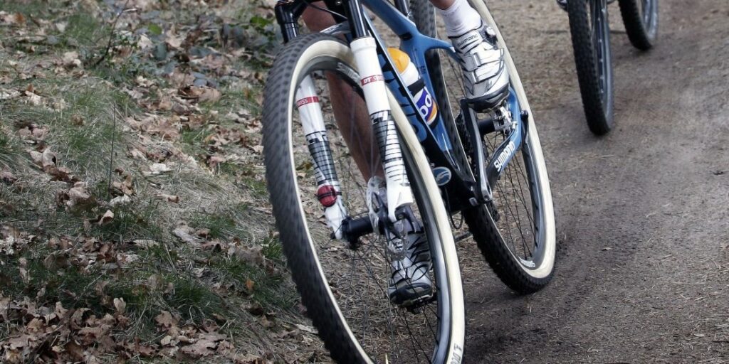 Zeeuwse mountainbikeroute in Tudor-bos weer in topconditie na opknapbeurt